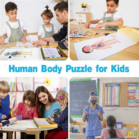 Buy Human Body Puzzle - 42 Pieces Magnetic Anatomy Puzzle for Kids Learning Boby Parts Skeleton ...