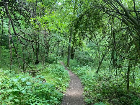 Preservation Park Trails: parks, paths and trails in Williamson County, TN highlighted by Elena ...