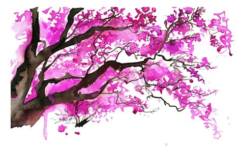 Watercolor Japanese Cherry Blossom Tree by JessicaIllustration