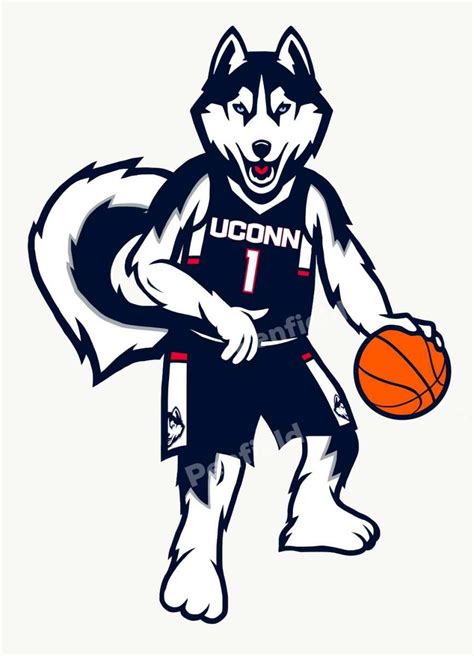 Reviving an old UConn Huskies logo - Concepts - Chris Creamer's Sports ...