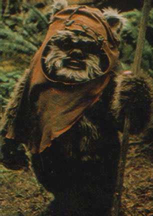 Ewok - Star Wars creatures Photo (3636237) - Fanpop