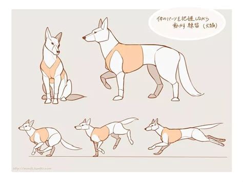 Dog Drawing, Drawing Skills, Drawing Base, Manga Drawing, Animal ...