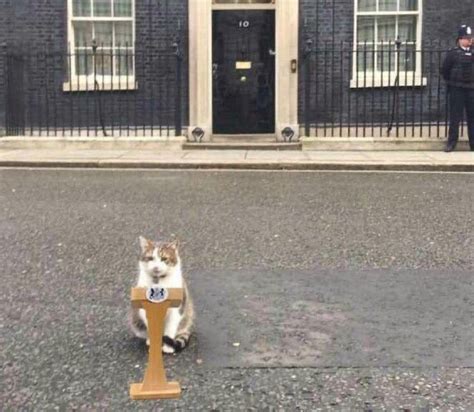 Steve McKee on Twitter: "RT @Number10cat: “I can no longer, in good conscience, live with this ...