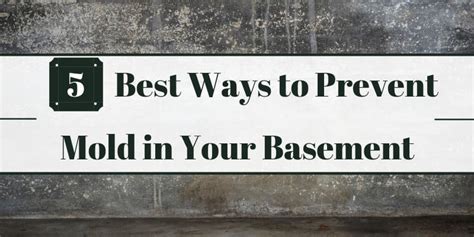 5 Best Ways to Prevent Mold in Your Basement - EnviroKlenz