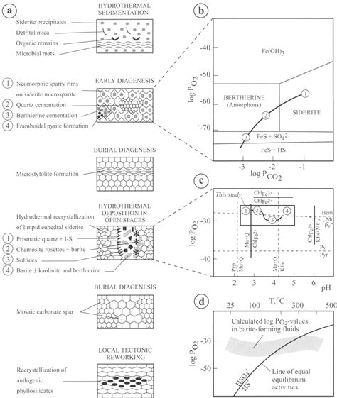 Generalized sketch of proposed phyllosilicate mineral formation in the ...