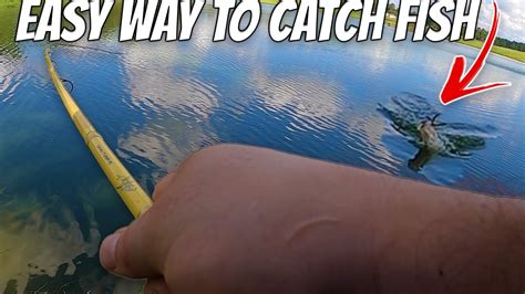 The EASIEST And MOST Effective Way to catch Fish Guaranteed!!! USE This ...