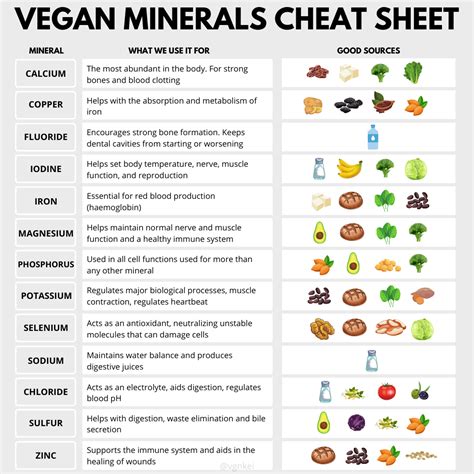 Vegan Minerals: Cheat Sheet. Here is your complete cheat sheet for… | by Dna kei | Medium