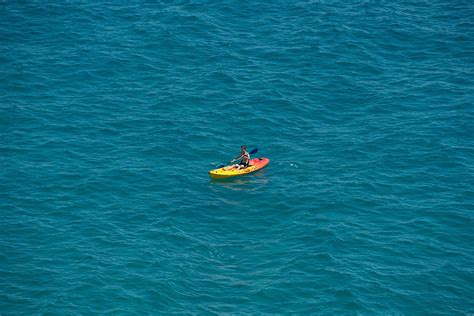 Tiger Shark Attacking Small Kayak Off Hawaii Coast Caught on Video | Nature World News