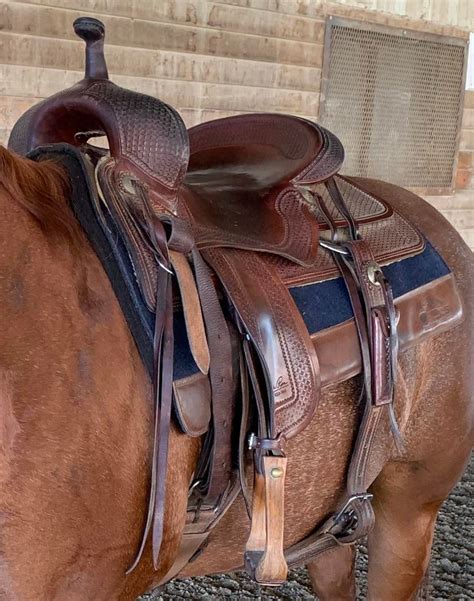 What type of saddle is this? : r/HorseTraining