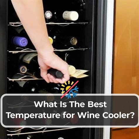 What Is The Best Temperature for Wine Cooler? - Kitchen Infinity