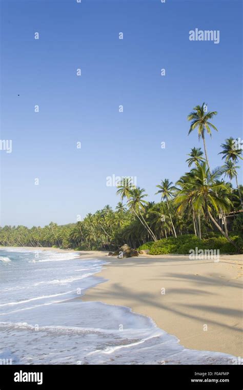 Hambantota hi-res stock photography and images - Alamy