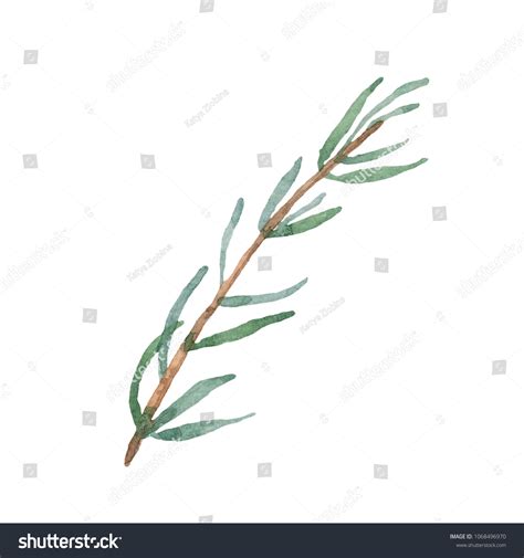 Watercolor Tree Branch with Fresh Green Stock Illustration 1068496970