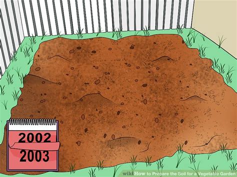 How to Prepare the Soil for a Vegetable Garden: 8 Steps