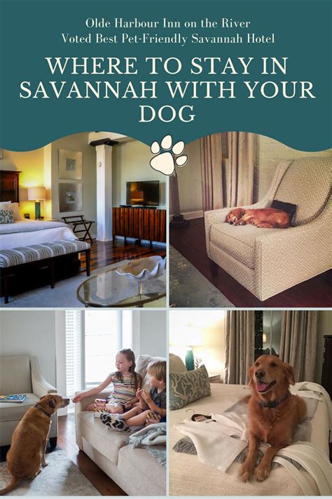 Historic Savannah Pet Friendly Hotels | Pets Animals US