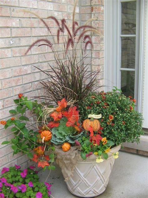 Inspiring Winter Container Gardening Ideas 29 - MAGZHOUSE