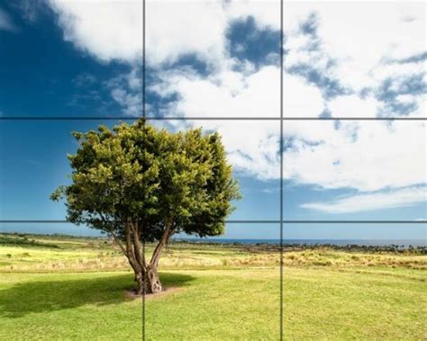 Rule of Thirds Explained for Beginner Photographers | Furoore