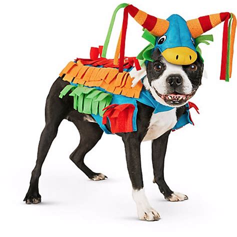 Petco Dog Halloween Costumes 2016 | POPSUGAR Pets