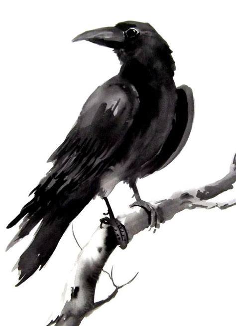 Crow Draw - ClipArt Best