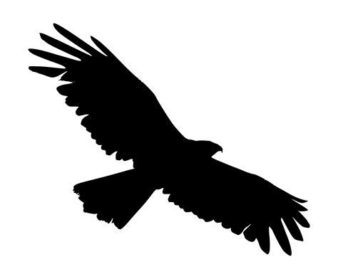 Eagle Silhouette Png