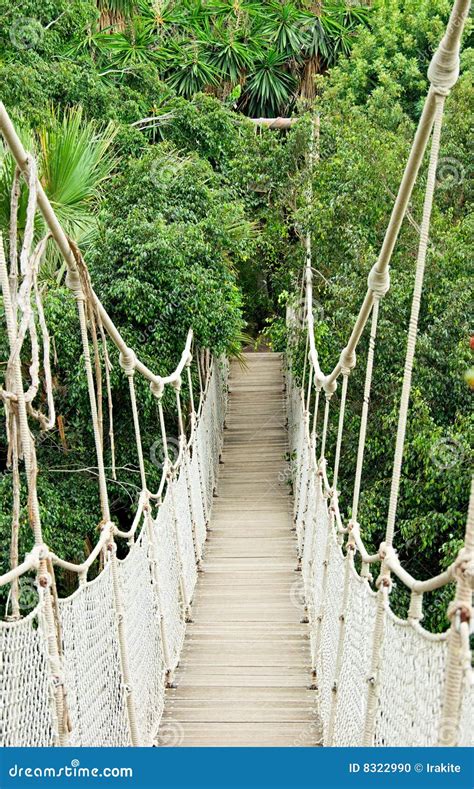 Rope bridge stock photo. Image of cable, pedestrian, islands - 8322990