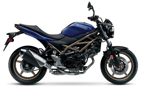 2023 Suzuki SV650 ABS Guide • Total Motorcycle