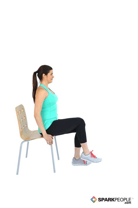 Seated Leg Extensions – Orthomen