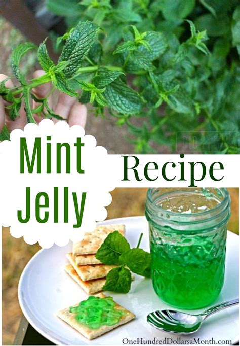 Mint Jelly Recipe - One Hundred Dollars a Month