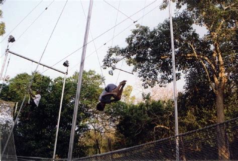 Pictures of Mexico: Ian in the middle of doing his backflip dismount from the trapeze. Notice ...