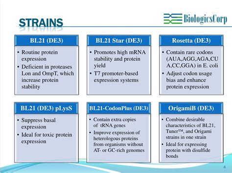 PPT - Soluble Protein Expression Optimization PowerPoint Presentation ...