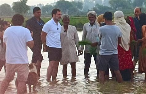 In Photos: Rahul Gandhi interacts with farmers, drives tractor during ...