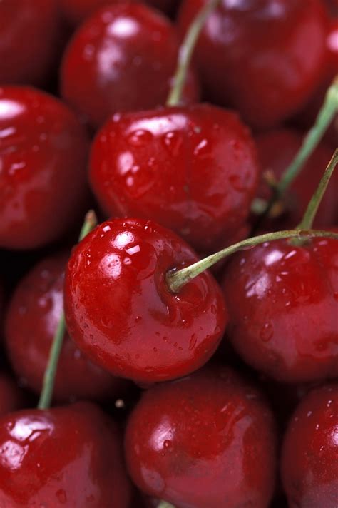 Lots of big Cherries image - Free stock photo - Public Domain photo - CC0 Images