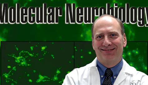 Albensi named Editor-in-Chief of Molecular Neurobiology | St. Boniface Hospital Research