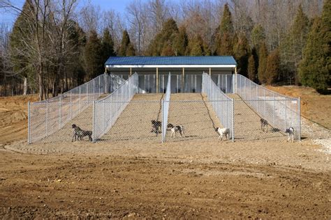 Outdoor Dog Kennel Flooring Options | Dog boarding kennels, Dog kennel ...