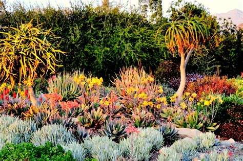 L.A. County Arboretum & Botanic Garden Plant Info: Where Can I See ...