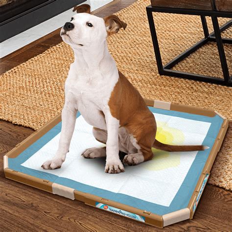 Training Pad Holder - Naturally For Pets