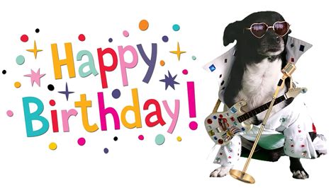 dogs singing happy birthday images - Is Great Newsletter Photography