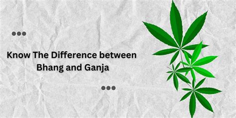 Bhang vs. Ganja: Differences, Effects, and Health Impacts | by Saurav ...