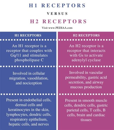 What is the Difference Between H1 and H2 Receptors - Pediaa.Com