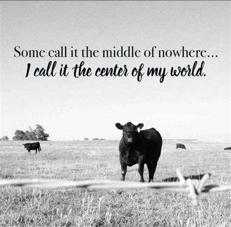 The 25+ best Cow quotes ideas on Pinterest | Showing cattle, Show cattle and Show cows