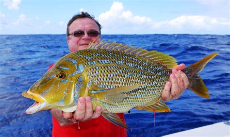 Spangled emperor or Lethrinus nebulosus - Rod Fishing club