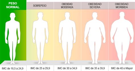 Zona de salud y vida: ¿Qué es el metabolismo basal y cómo cambia?