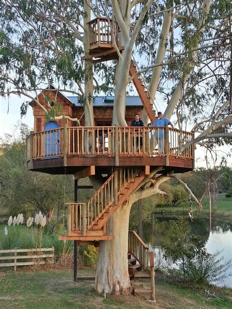 Treehouse Nation | Tree house designs, Cool tree houses, Beautiful tree ...