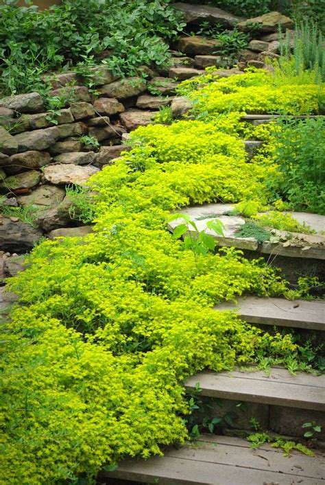 304 best Rock Gardens & Ground Covers images on Pinterest | Landscaping ...