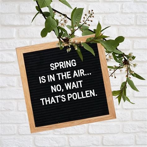 Spring Letter Board Quotes: Spring is in the air... no, wait that's pollen.