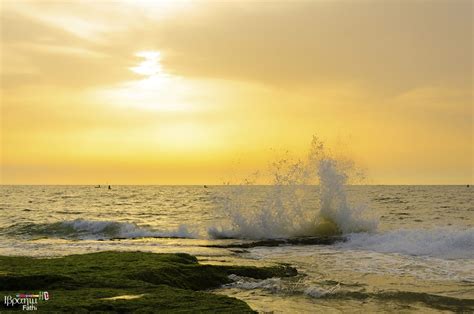 Gaza beach | Waves, Beach, Outdoor