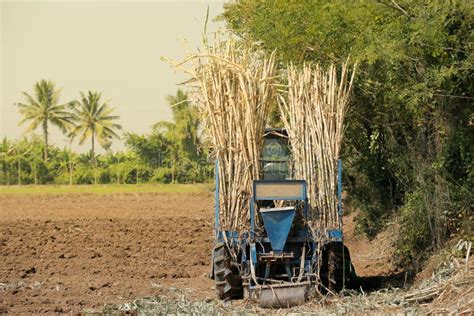 Agricultural Machinery, Sugar Cane. Stock Photo - Image of cargo, machine: 109169798