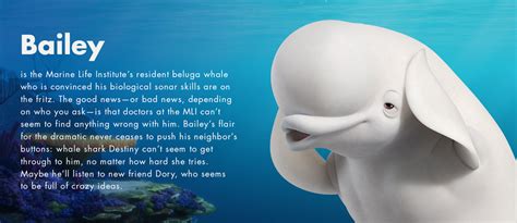 Image - Finding Dory Character Profiles 06.jpg | Disney Wiki | Fandom ...