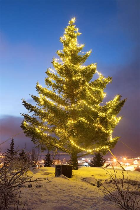 Iceland christmas stock photo. Image of frozen, visibility - 59428588