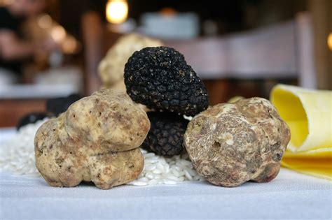 Fresh Talk: The Return of Alba White Truffles