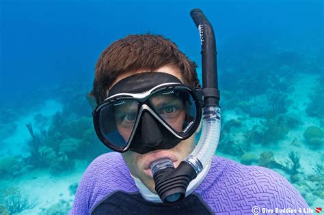 A Beginner's How-To Snorkeling Guide | Dive Buddies 4 Life